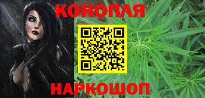 СК Кандалакша
