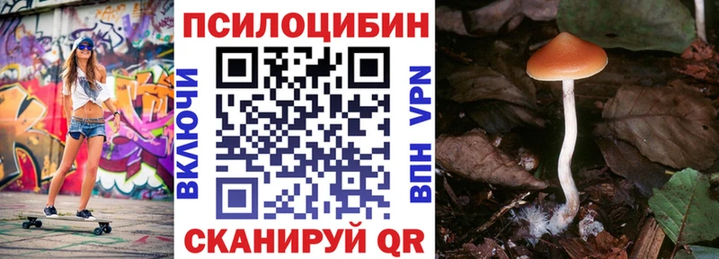 Галлюциногенные грибы Cubensis MEGA ссылки Еманжелинск