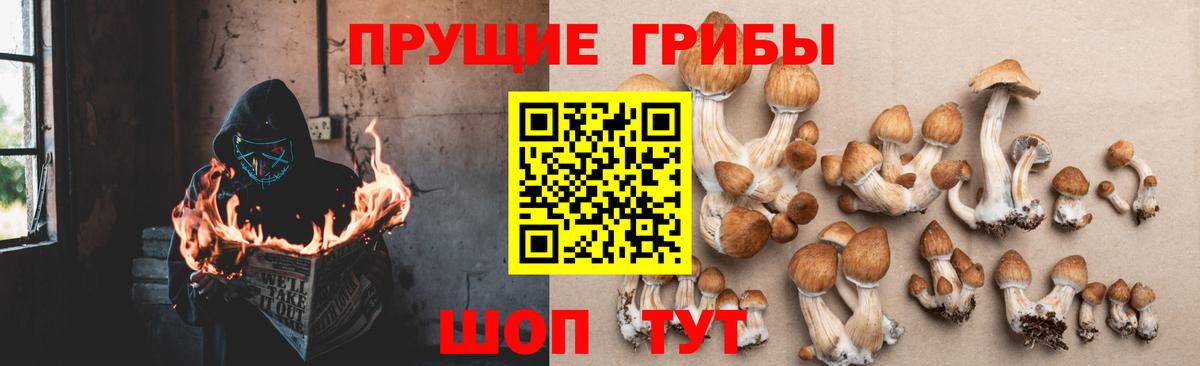 Еманжелинск  Галлюциногенные грибы мицелий  Вход с VPN 